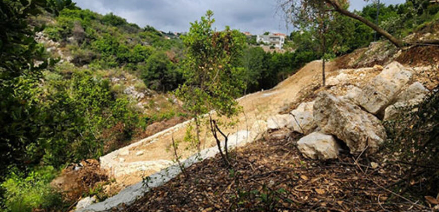 Land for Sale Chikhane Jbeil Area 1077Sqm