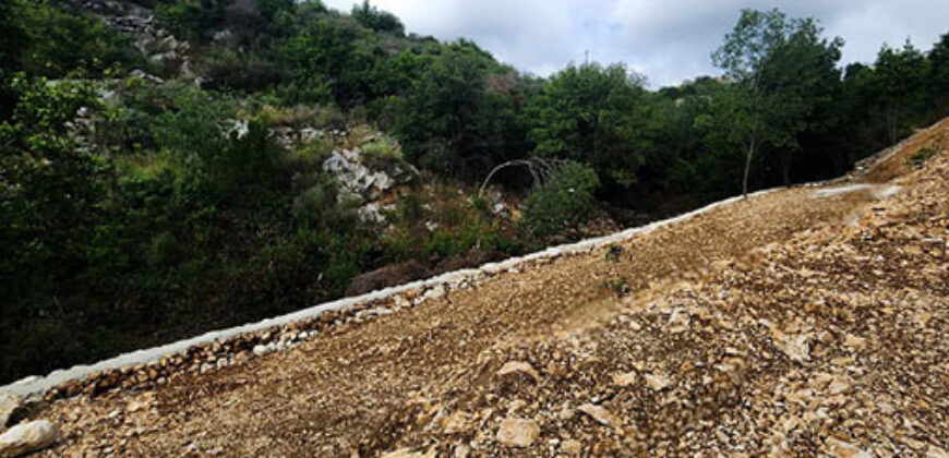 Land for Sale Chikhane Jbeil Area 1077Sqm