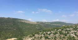 Land for Sale Kharbeh Jbeil Area 1985Sqm