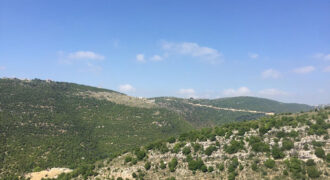 Land for Sale Kharbeh Jbeil Area 1985Sqm