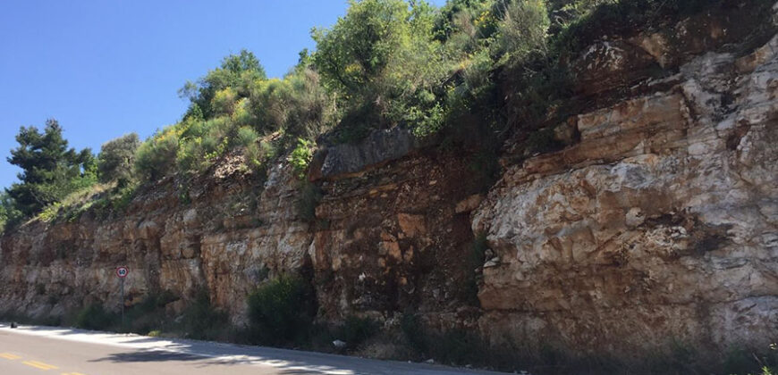 Land for Sale Kharbeh Jbeil Area 1985Sqm