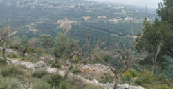 Land for Sale Bejjeh Jbeil Area 11380Sqm