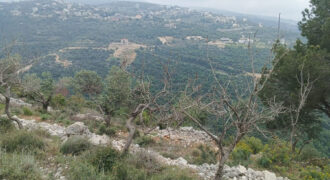 Land for Sale Bejjeh Jbeil Area 11380Sqm