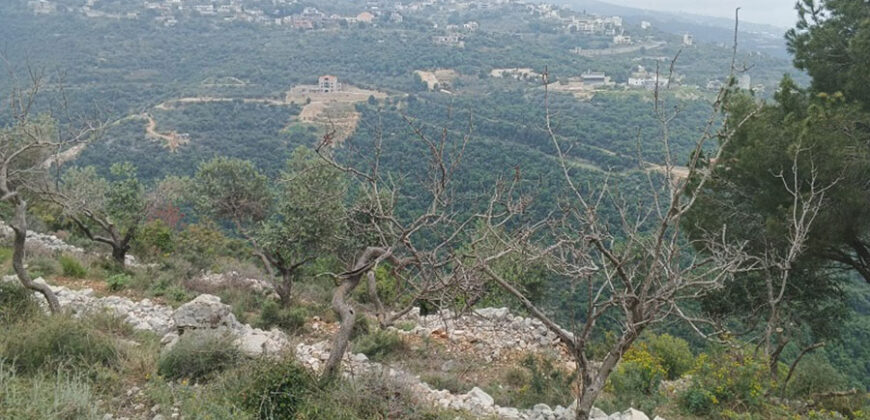 Land for Sale Bejjeh Jbeil Area 11380Sqm