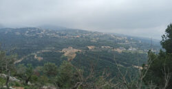 Land for Sale Bejjeh Jbeil Area 11380Sqm