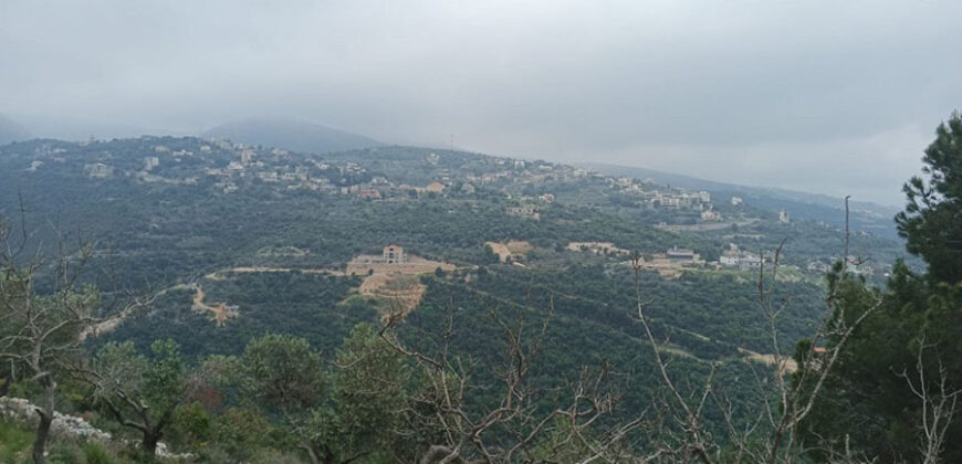Land for Sale Bejjeh Jbeil Area 11380Sqm