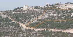 Land for Sale Bejjeh Jbeil Area 11380Sqm