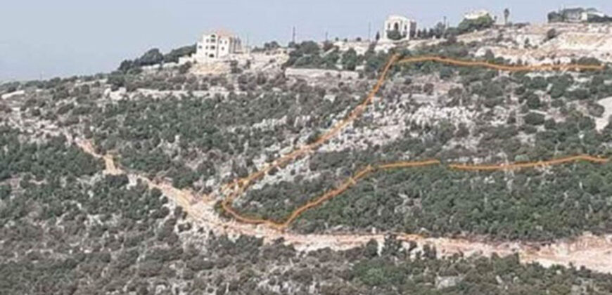 Land for Sale Bejjeh Jbeil Area 11380Sqm