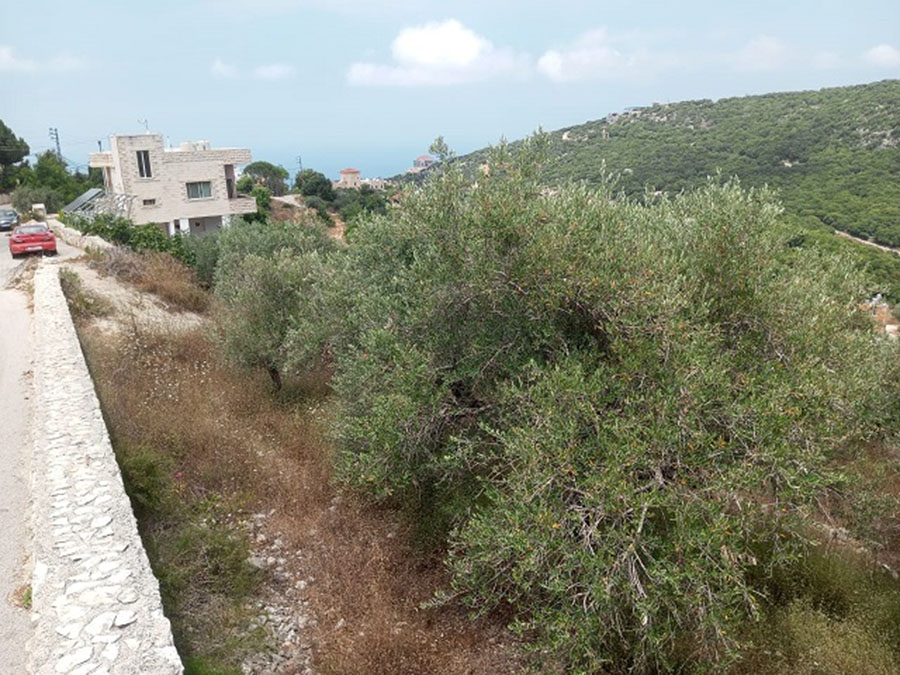 Land for Sale Ijdabra Batroun Area 735Sqm