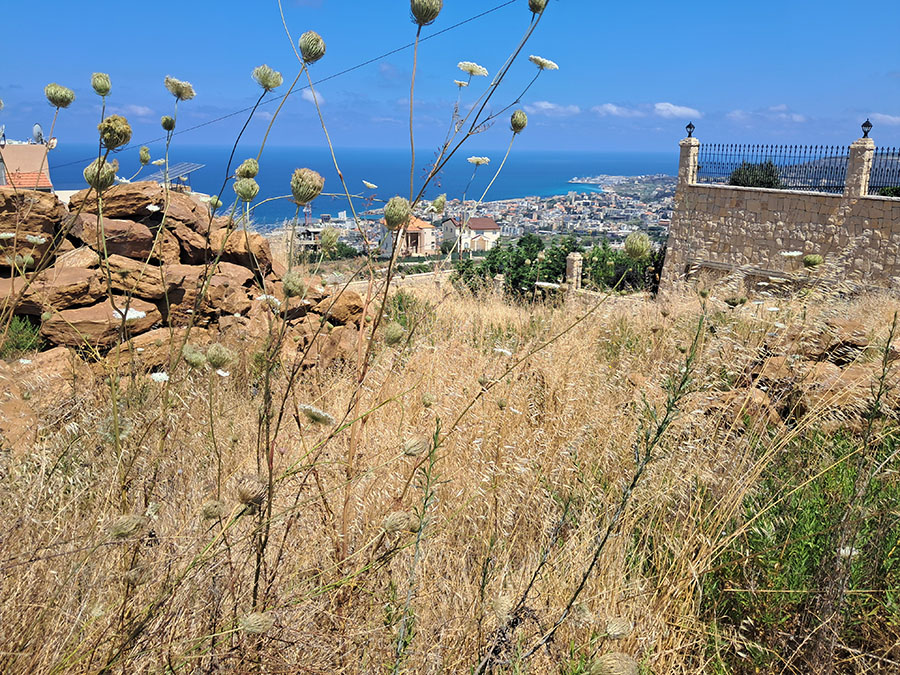 Land for Sale Edde Batroun Area 1140Sqm