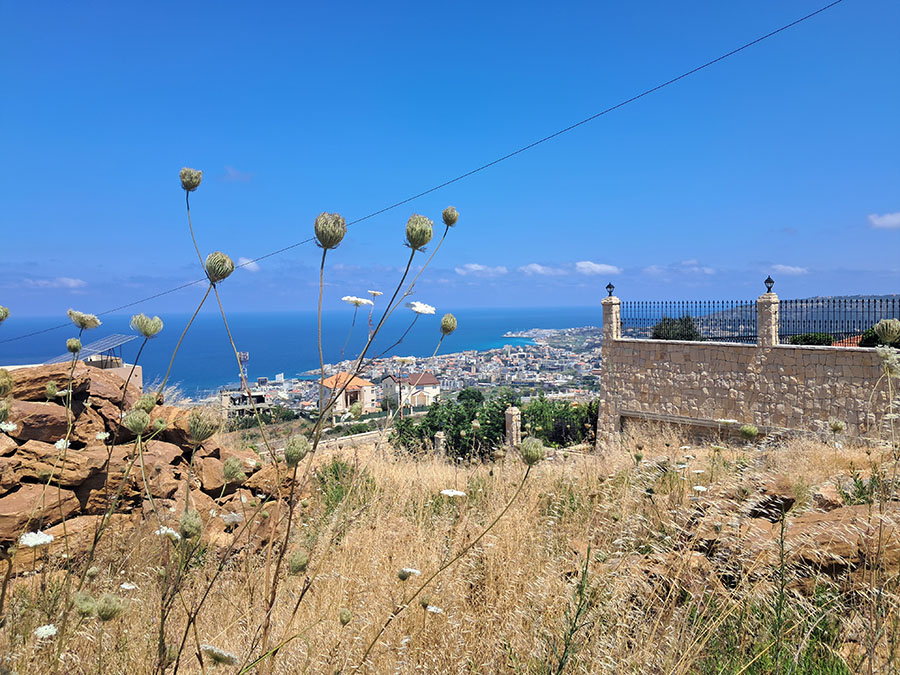 Land for Sale Edde Batroun Area 1140Sqm