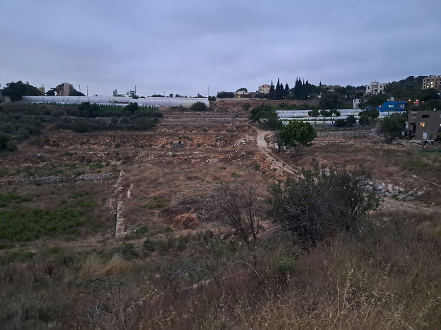 Land for Sale Edde Jbeil Area 3597Sqm
