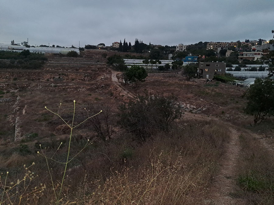 Land for Sale Edde Jbeil Area 3597Sqm