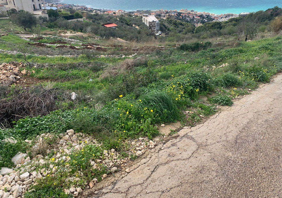 Land for Sale Kfar Aabida Batroun Area 2383Sqm