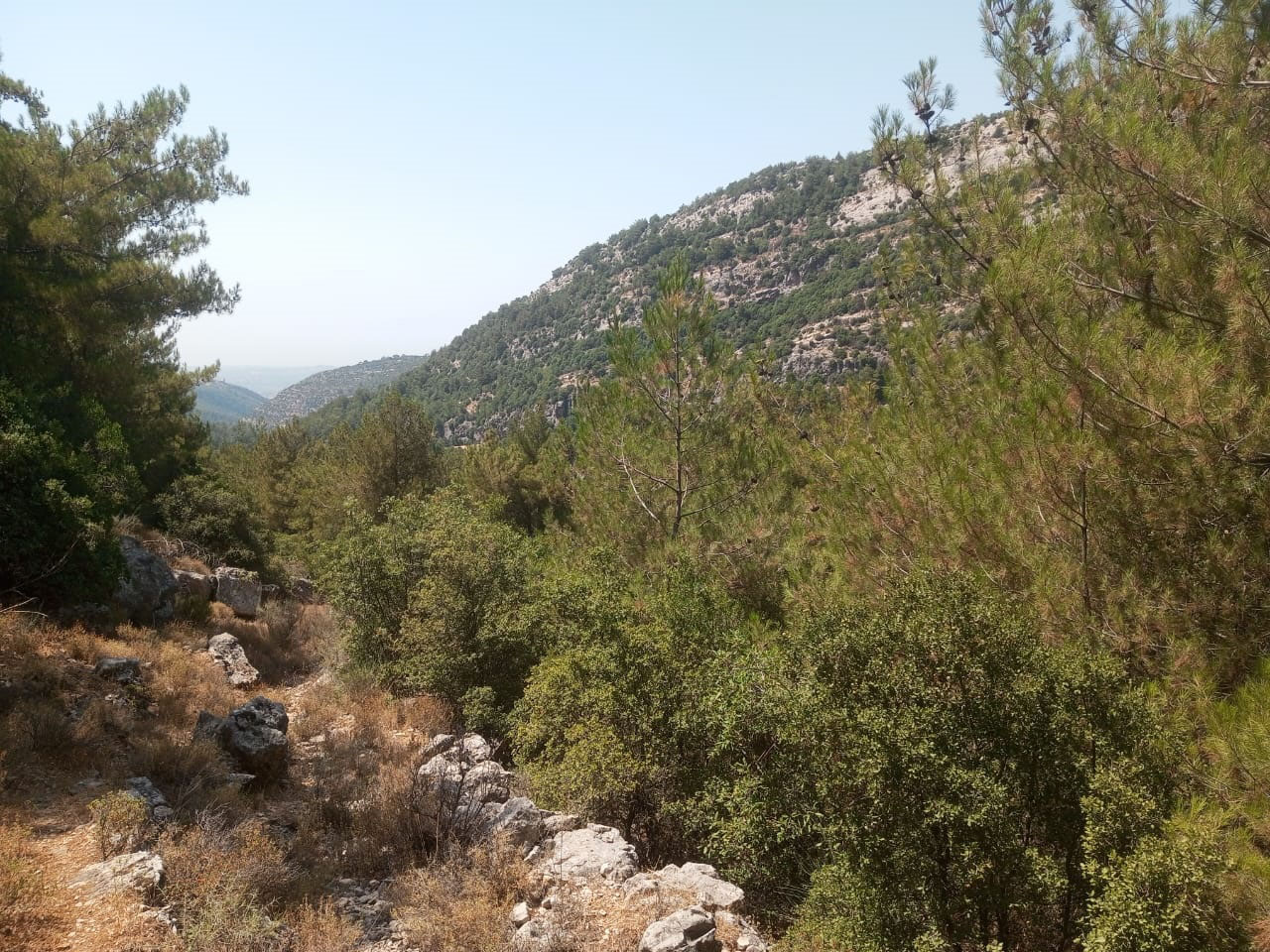 Land for Sale Mazraat Aassaf Bsharri Area 985Sqm