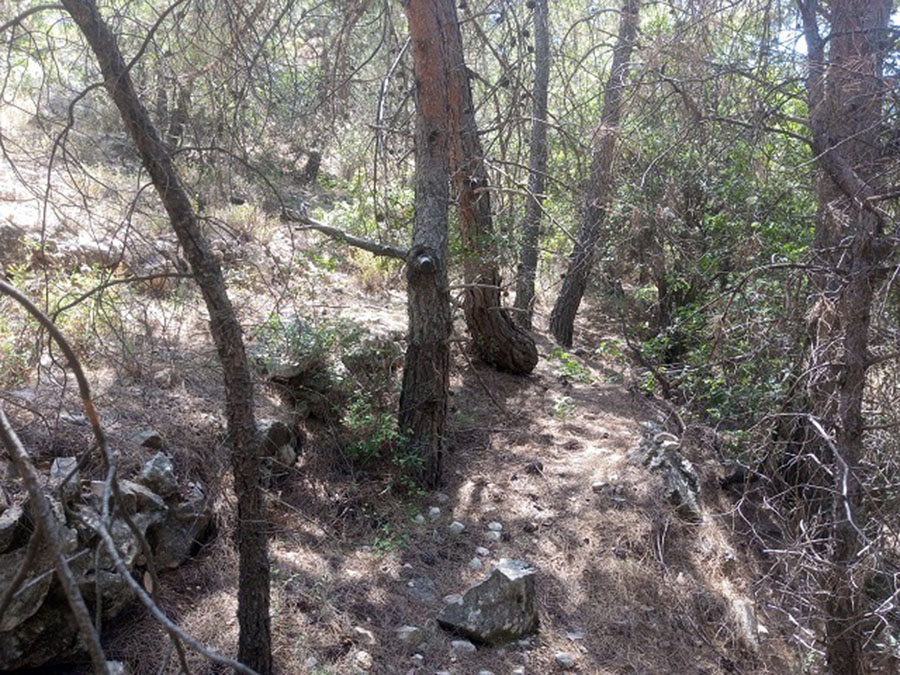Land for Sale Mazraat Aassaf Bsharri Area 985Sqm