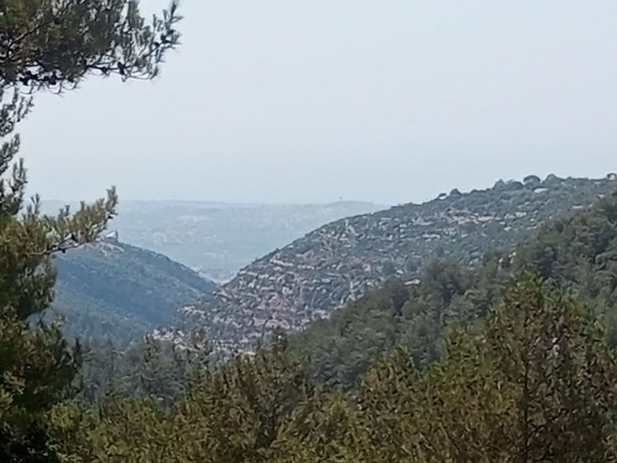 Land for Sale Mazraat Aassaf Bsharri Area 985Sqm