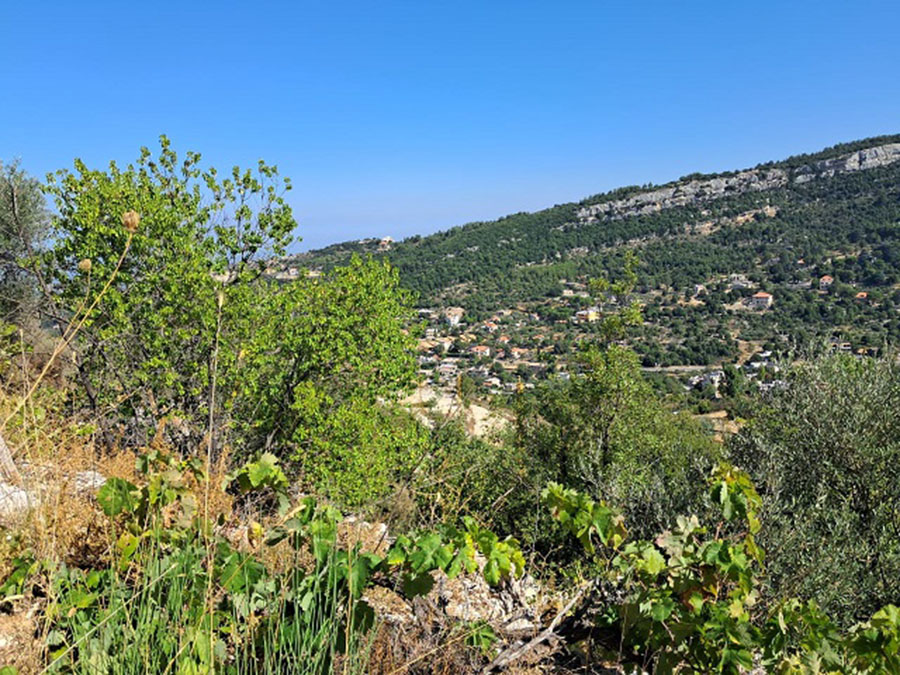 Land for Sale Lehfed Jbeil Area 1445Sqm & The Small House Around 100Sqm