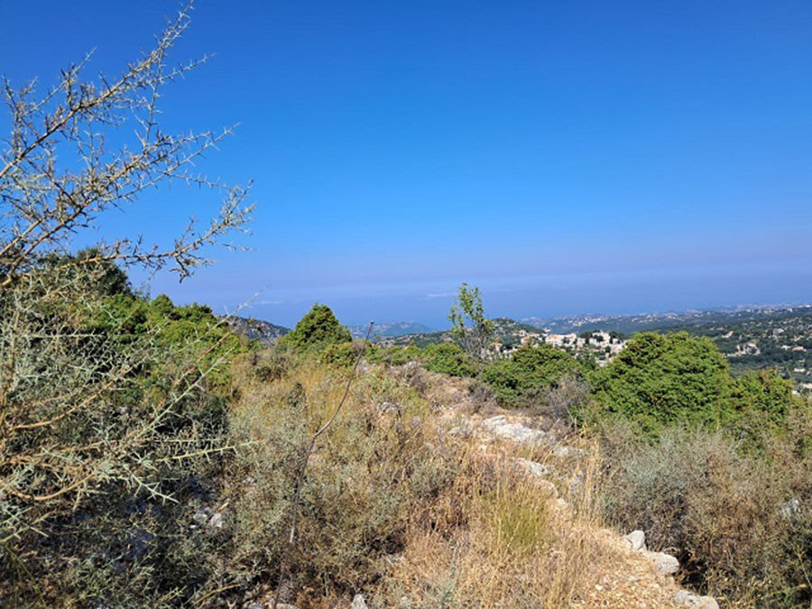 Land for Sale Lehfed Jbeil Area 1445Sqm & The Small House Around 100Sqm