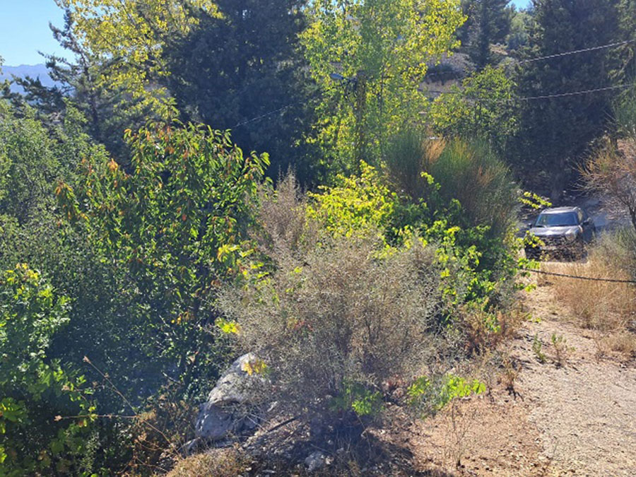 Land for Sale Lehfed Jbeil Area 1445Sqm & The Small House Around 100Sqm