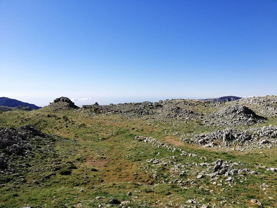 Land for Sale Tannourine El Faouqa ( Laqlouq ) Batroun Area 853Sqm