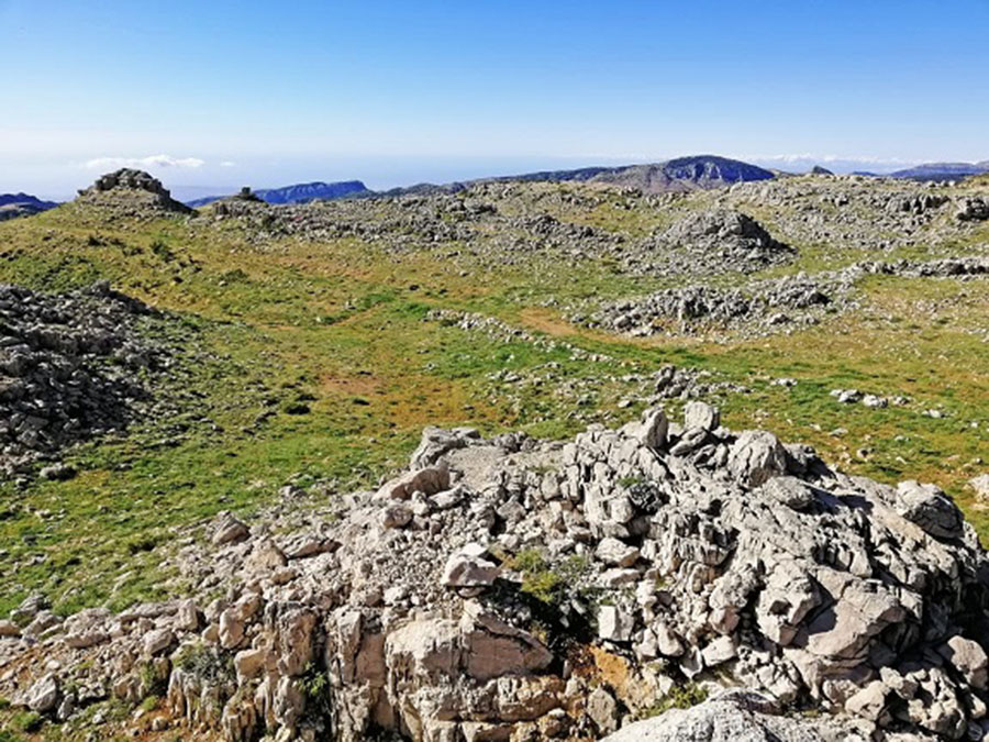 Land for Sale Tannourine El Faouqa ( Laqlouq ) Batroun Area 853Sqm
