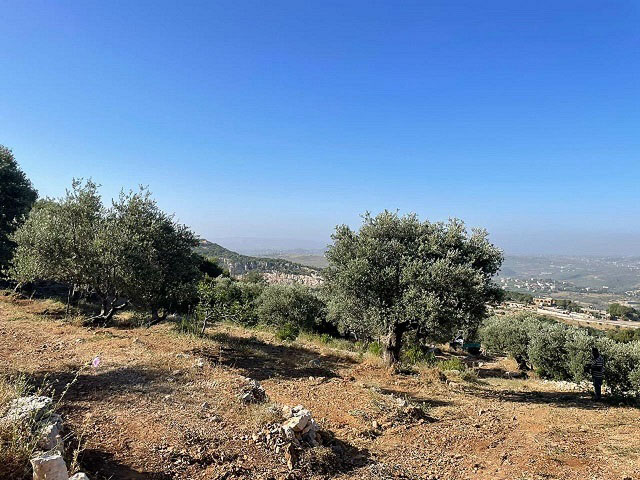Land for Sale Halta Batroun Area 500Sqm