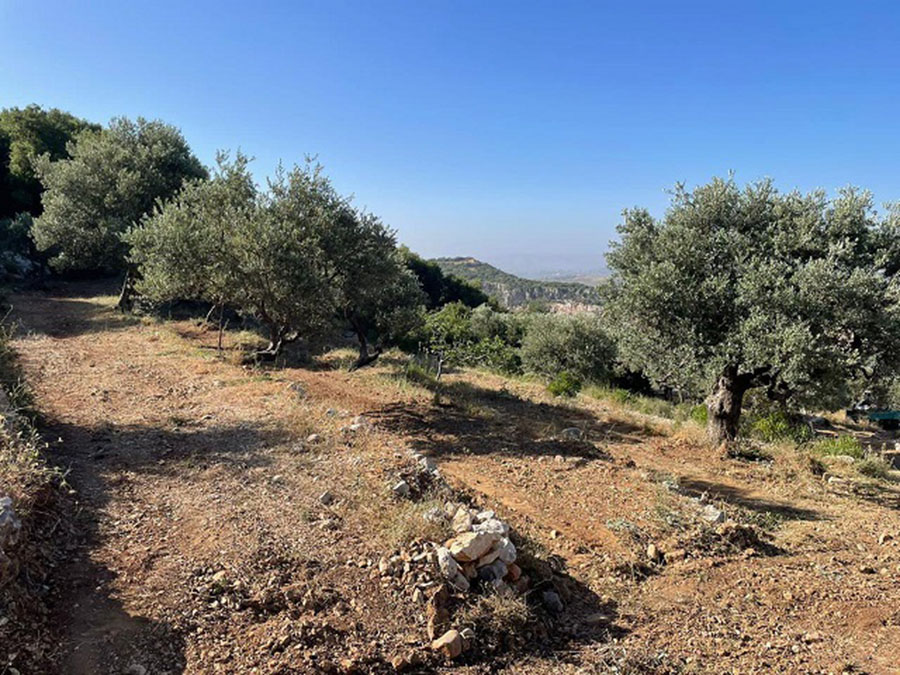 Land for Sale Halta Batroun Area 500Sqm