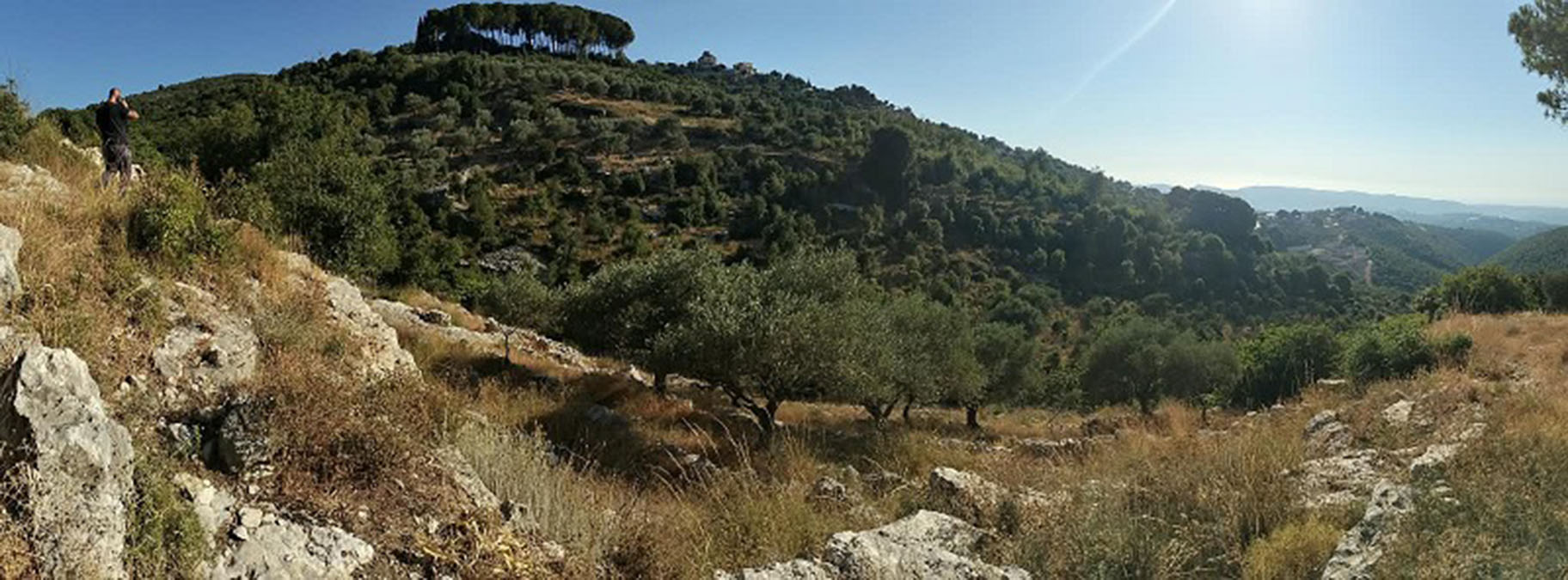 Land for Sale Halta Batroun Area 1364Sqm