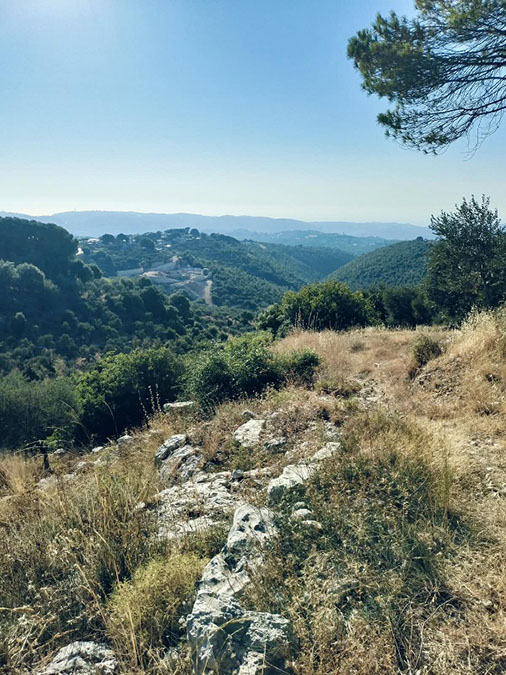 Land for Sale Halta Batroun Area 1364Sqm