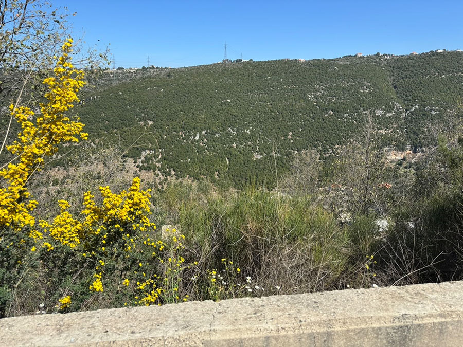 Land for Sale Kharbeh Jbeil Area 5630Sqm
