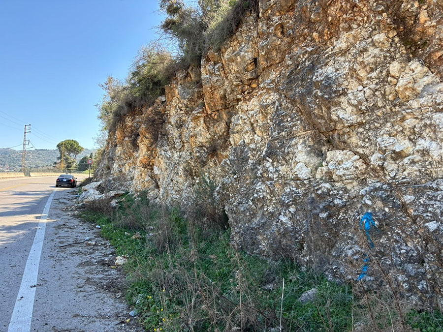 Land for Sale Kharbeh Jbeil Area 5630Sqm