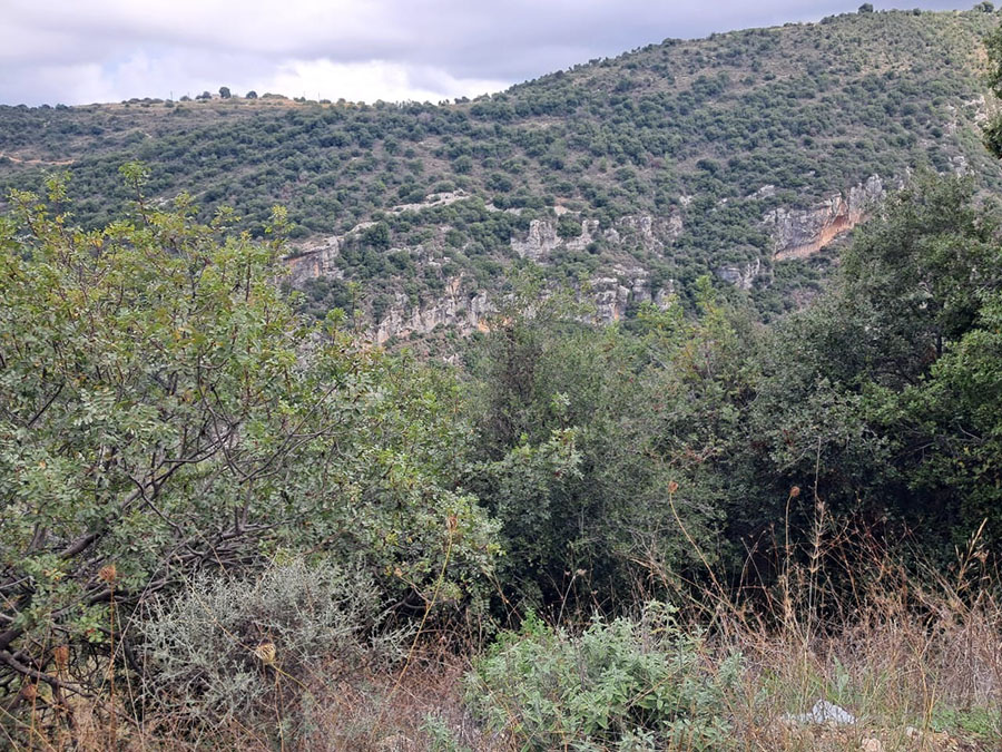 Land for Sale Blat Jbeil ( Industrial ) Area 4670Sqm