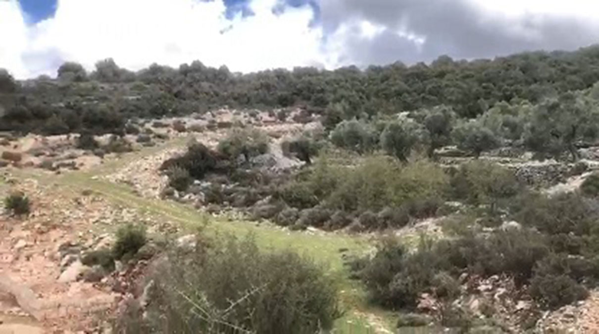 Land for Sale Nahleh Batroun Area 1000Sqm