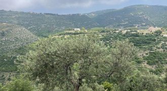 Land for Sale Bejjeh Jbeil Area 4848Sqm