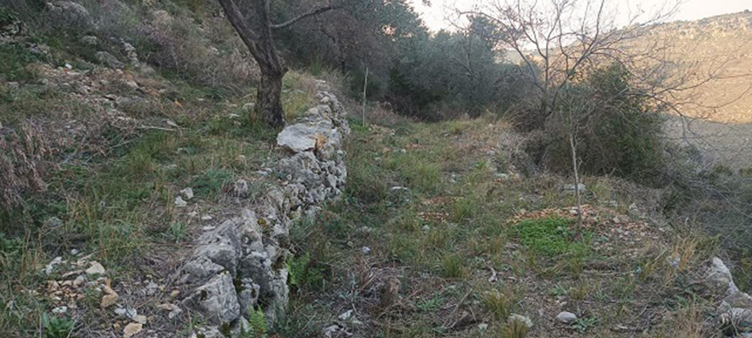 Land for Sale Bejjeh Jbeil Area 4848Sqm