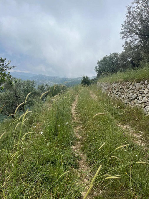 Land for Sale Bejjeh Jbeil Area 4848Sqm