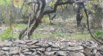 Land for Sale Sourat Batroun Area 792sqm