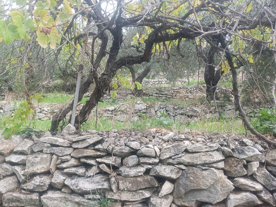Land for Sale Sourat Batroun Area 792sqm