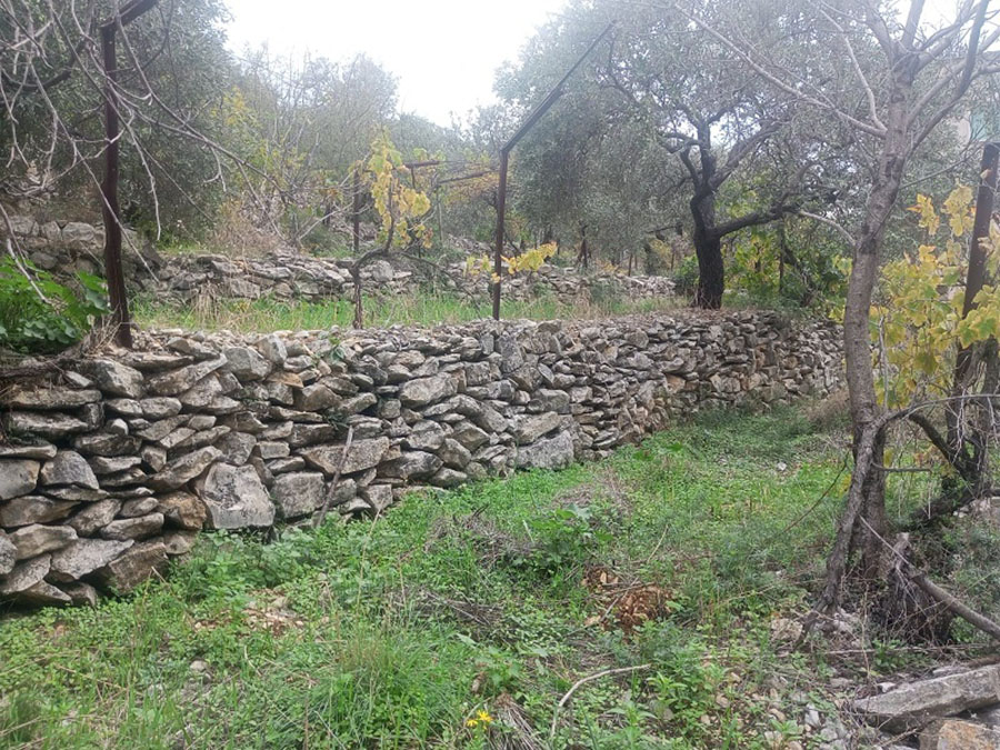 Land for Sale Sourat Batroun Area 792sqm