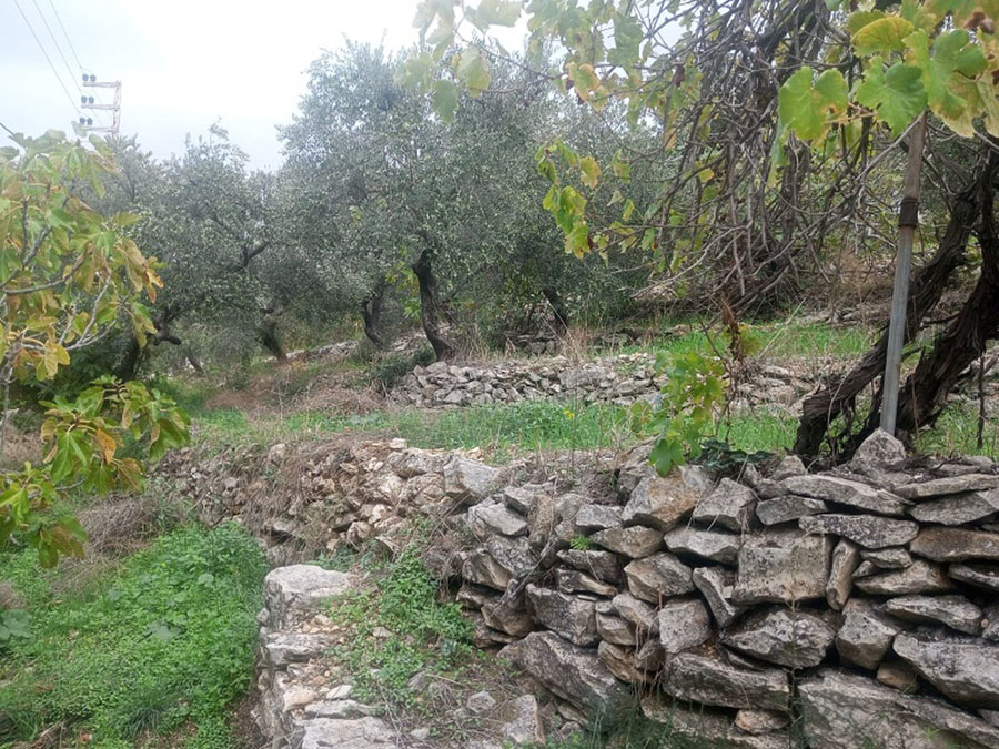 Land for Sale Sourat Batroun Area 792sqm
